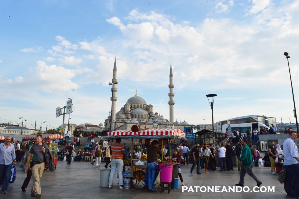 Estambul ciudad mágica -patoneando (4)