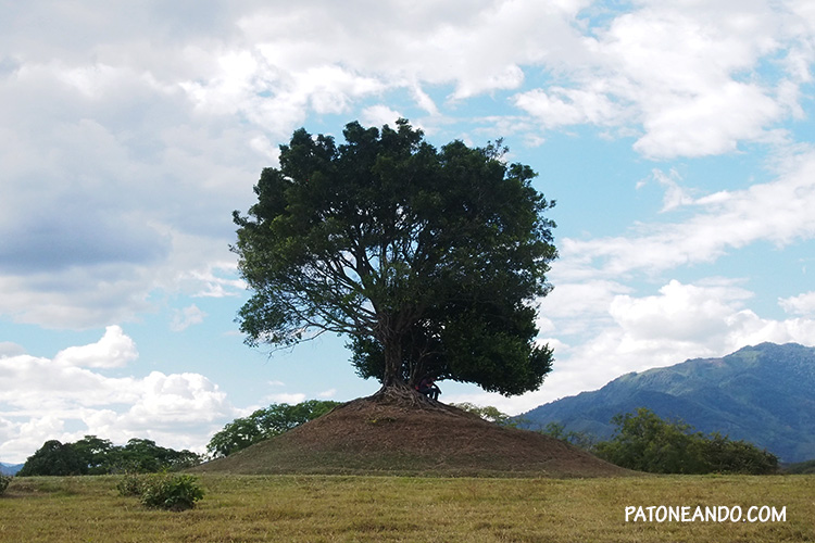 El árbol del amor - Chaparral Tolima - Patoneando blog de viajes