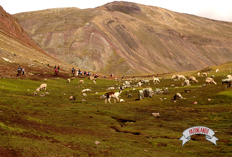 Montaña Siete Colores, Perú - Patoneando blog de viajes.