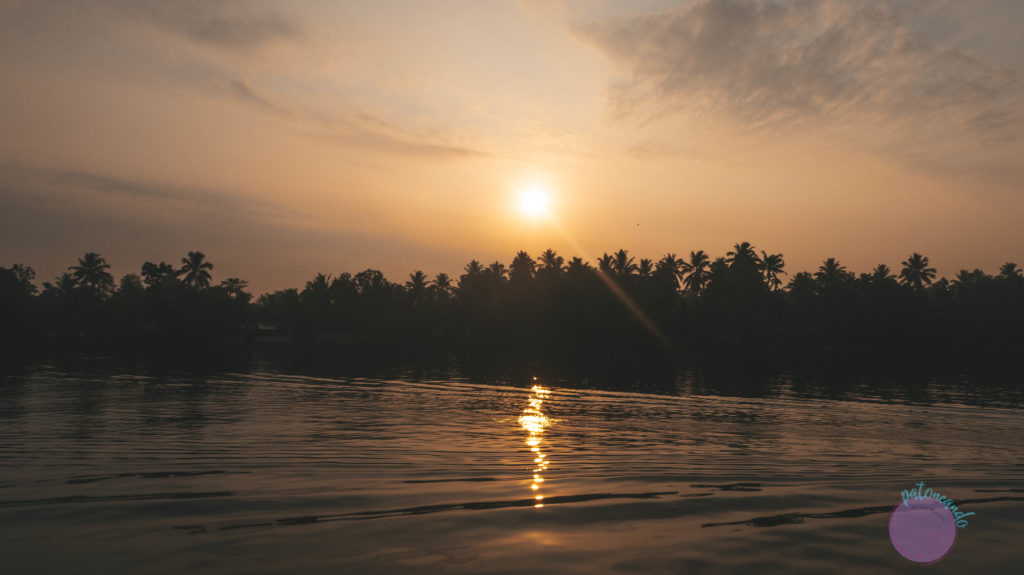 navegar los backwaters de kerala - india - Patoneando blog de viajes
